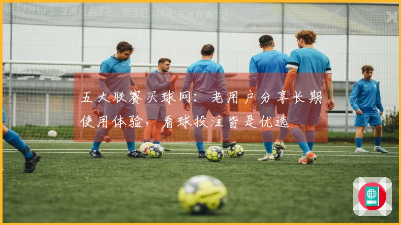 五大联赛买球网：老用户分享长期使用体验，看球投注皆是优选