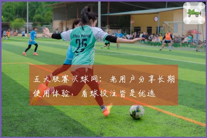 五大联赛买球网：老用户分享长期使用体验，看球投注皆是优选