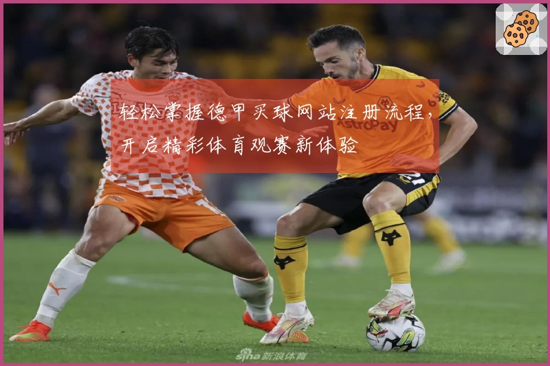 轻松掌握德甲买球网站注册流程，开启精彩体育观赛新体验